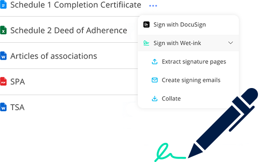 Screenshot of Document Signing window with graphic of a pen